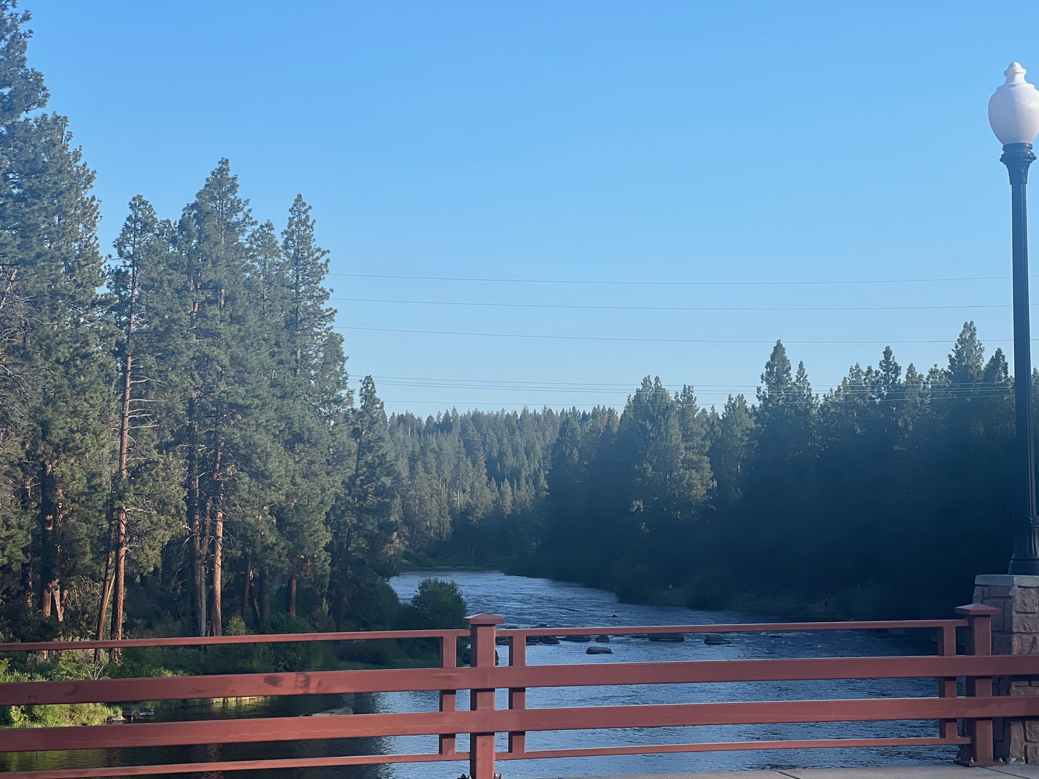 Looking up the Deschutes River from a red footbridge, ponderosa pines lining the banks