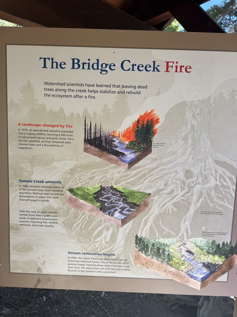 Interpretive sign about the Bridge Creek Fire and how riparian recovery works