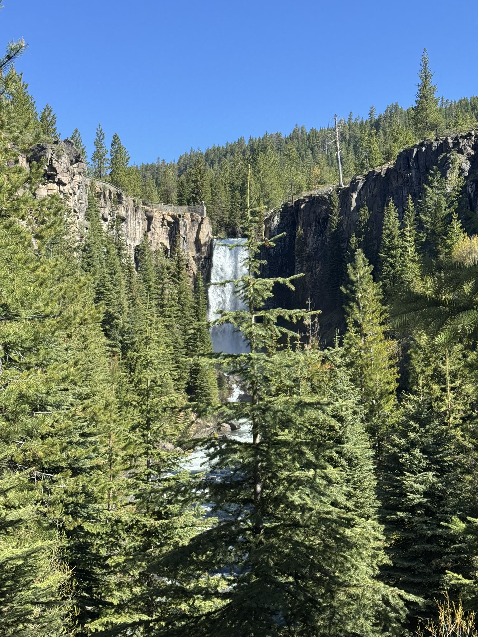 Tumalo Falls glimpsed through the canopy on the descending trail