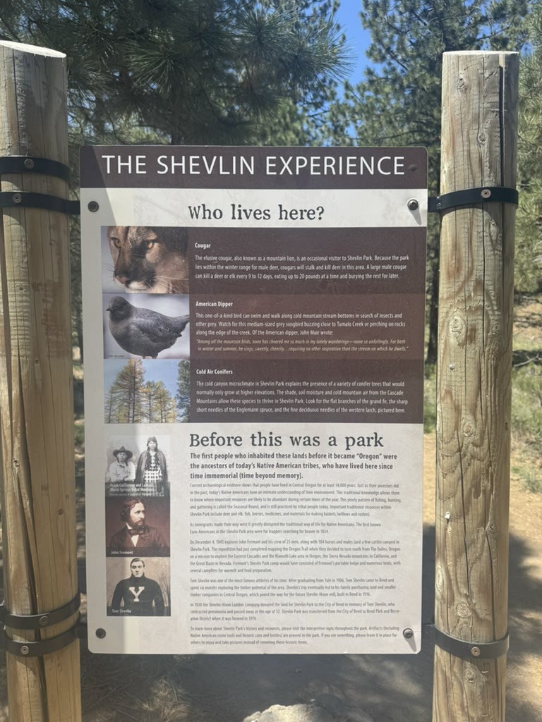 The Shevlin Experience interpretive sign — wildlife, cold-air conifers, and the park's pre-park history