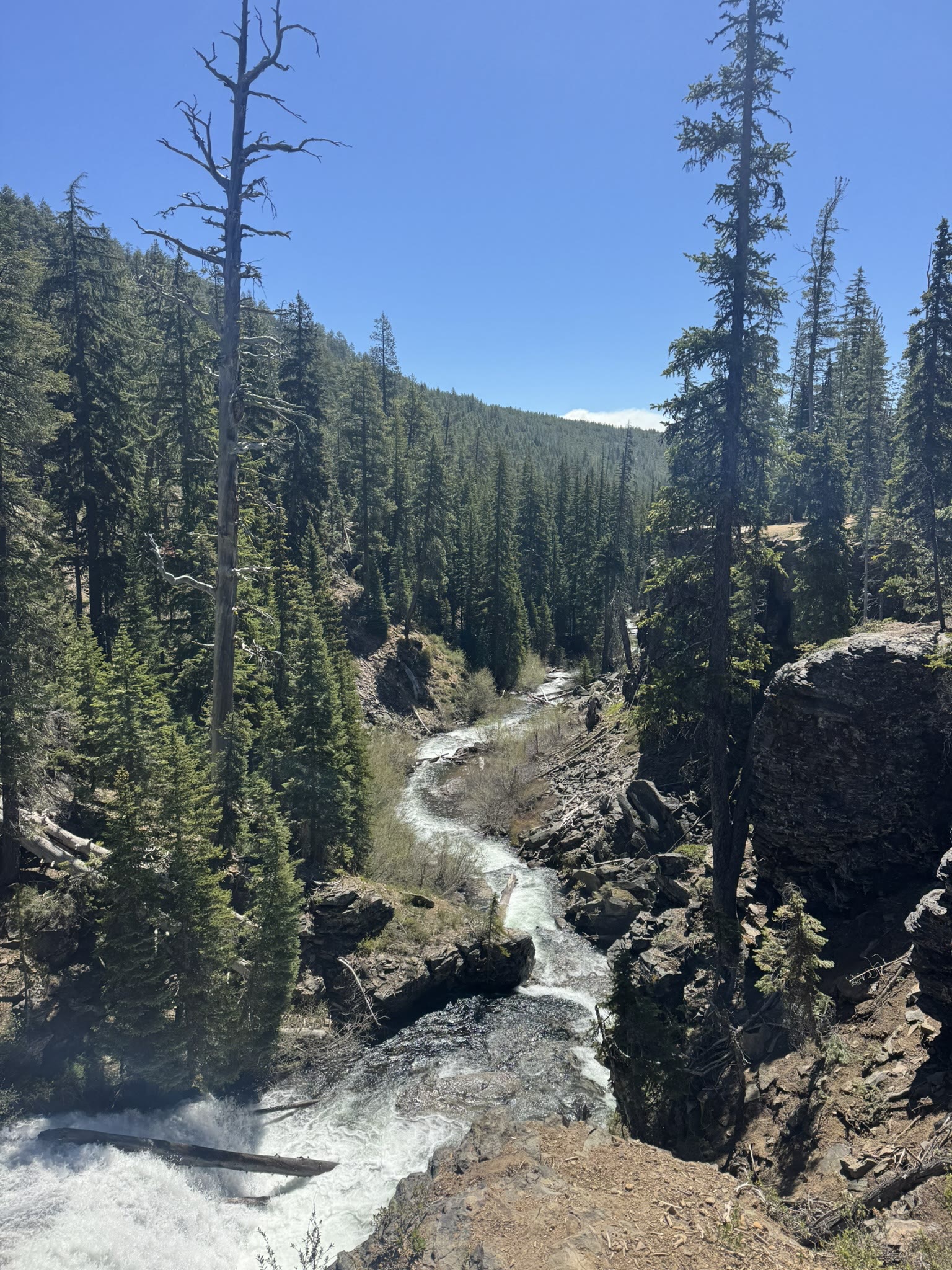 A second waterfall further down Tumalo Creek, cascading between basalt walls