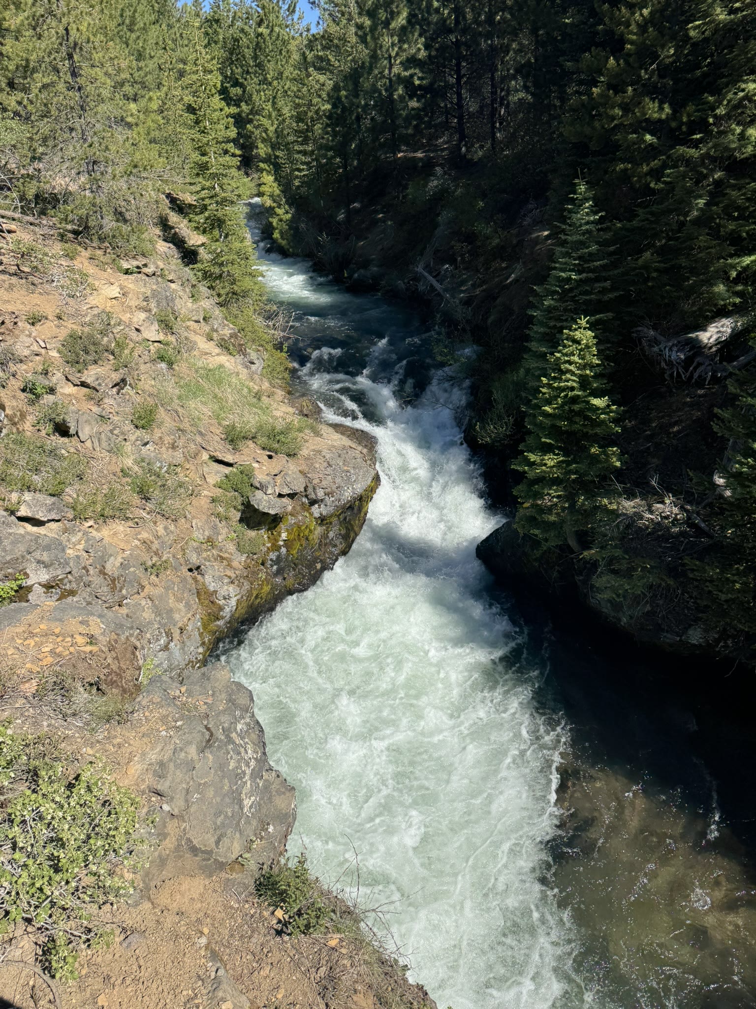 Tumalo Creek running through a canyon, sun lighting the spray