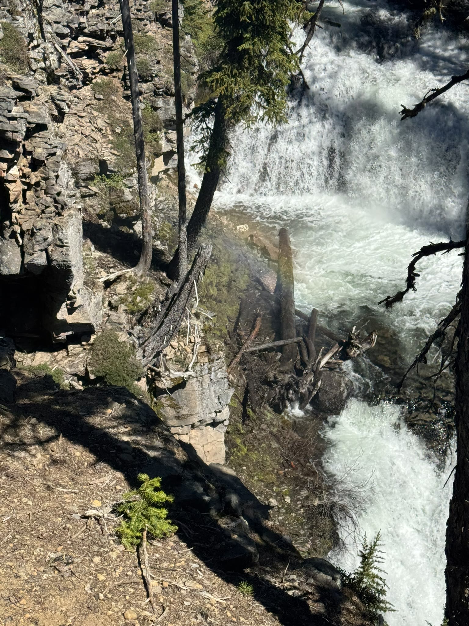 Top of a downstream Tumalo Falls drop, looking over the lip into the basalt canyon