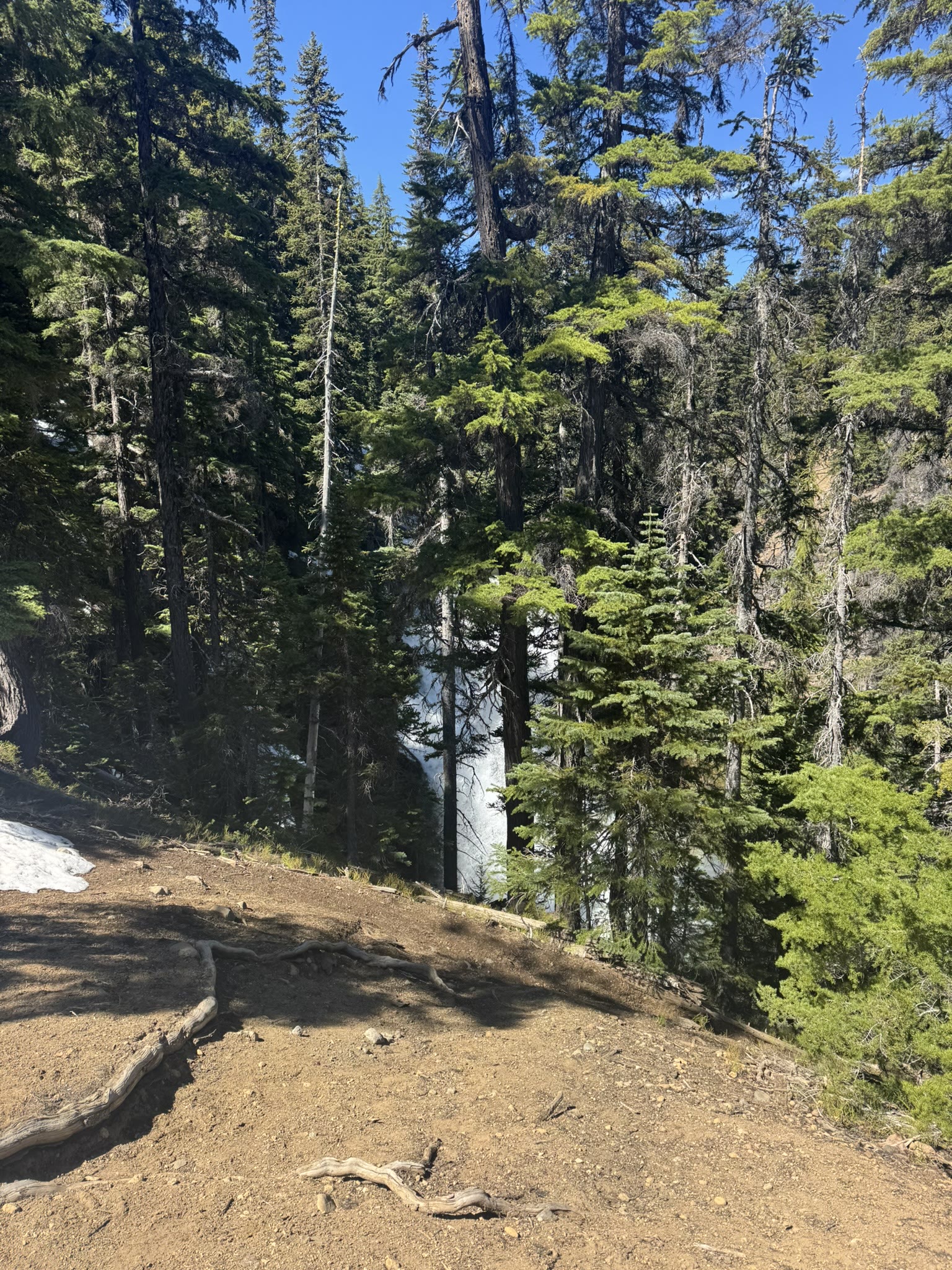 Late-spring trail above Tumalo Falls — packed dirt with a lingering snow patch and tall conifers