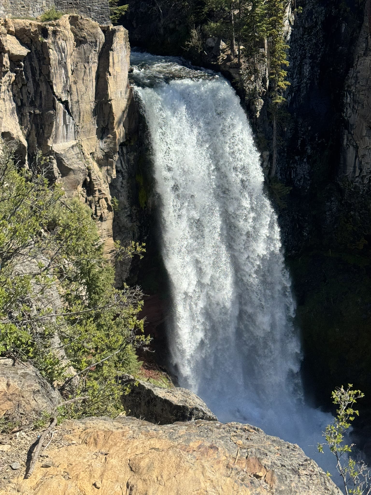 Tumalo Falls — a tall, sheer waterfall pouring off a basalt cliff into a forested canyon