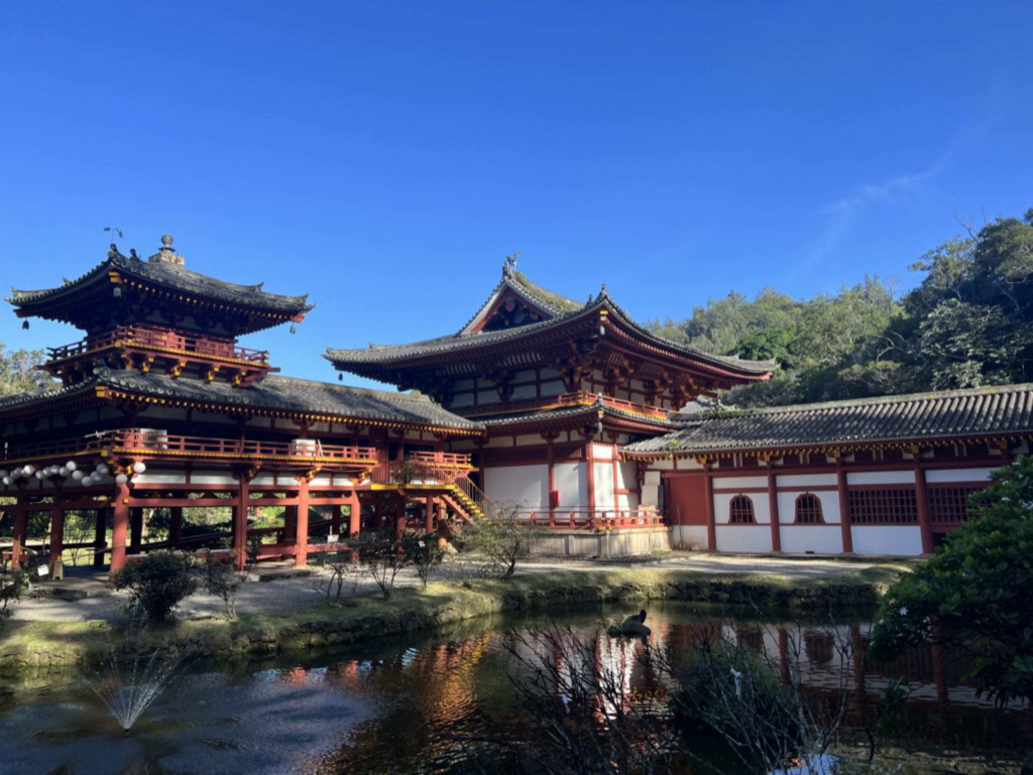 A weathered stone lantern beside the pond under a canopy of trees, the temple visible in the soft background
