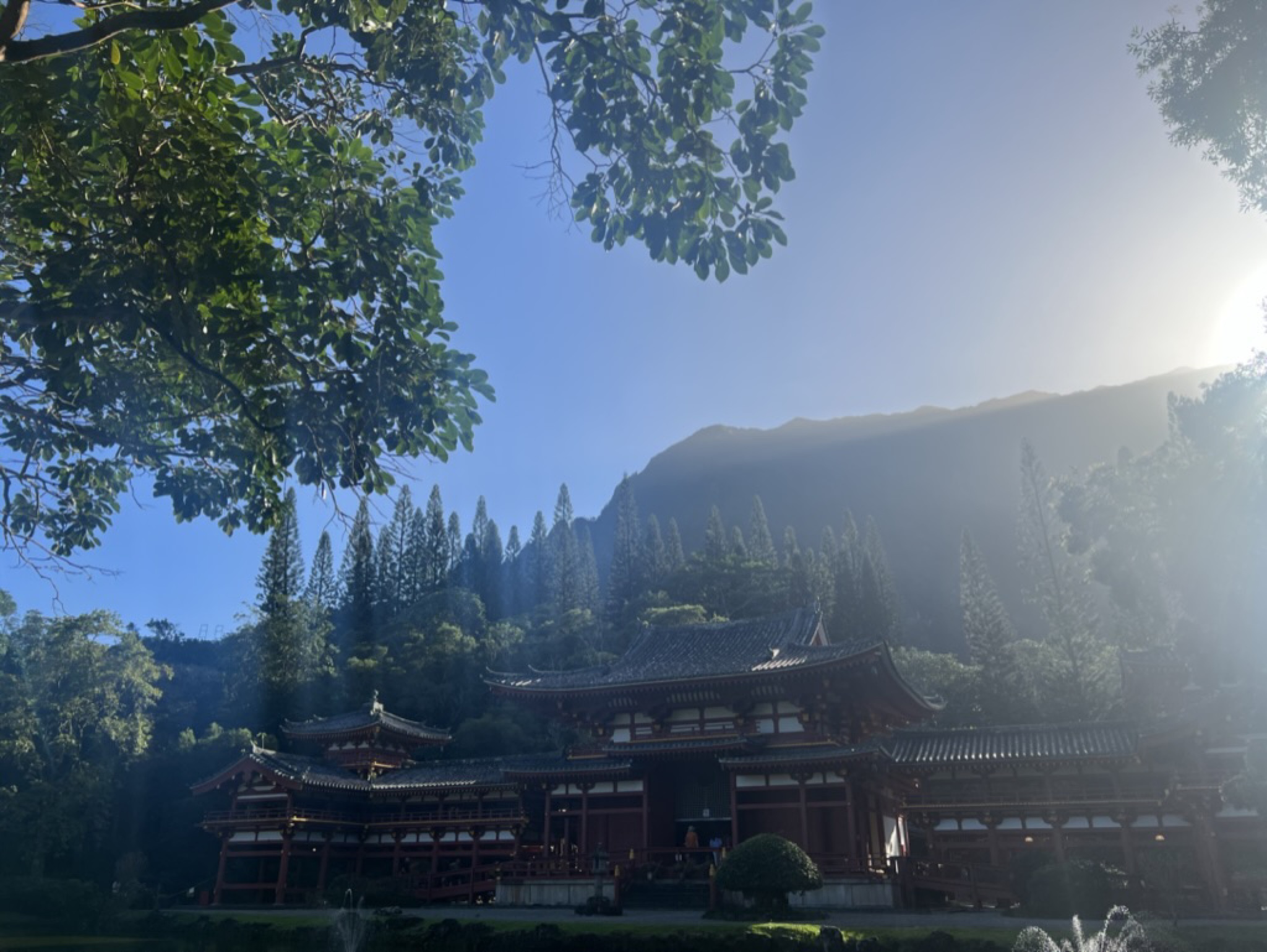 The temple framed through tree branches, the Ko'olau cliffs hazy behind