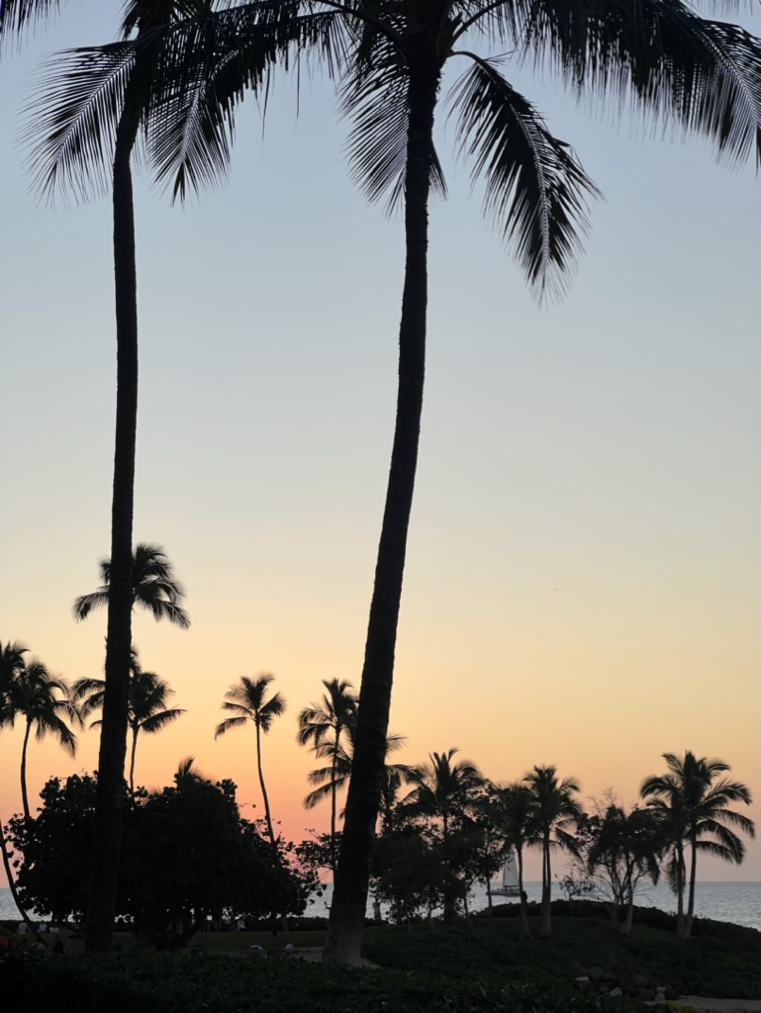 Sunset over the lagoon — silhouetted palms in the foreground, a sailboat far out on the horizon