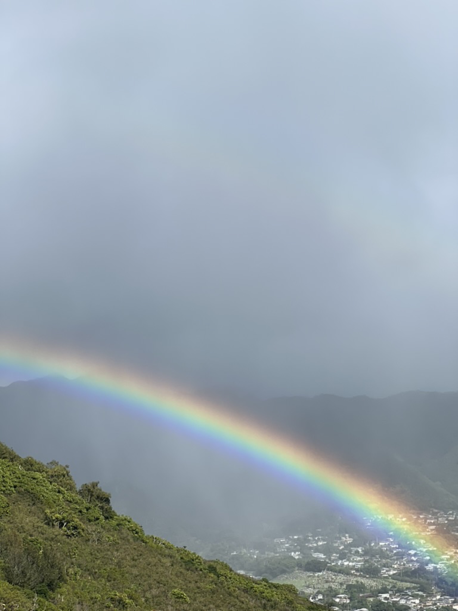 A vibrant full rainbow arcing across Manoa Valley after a shower