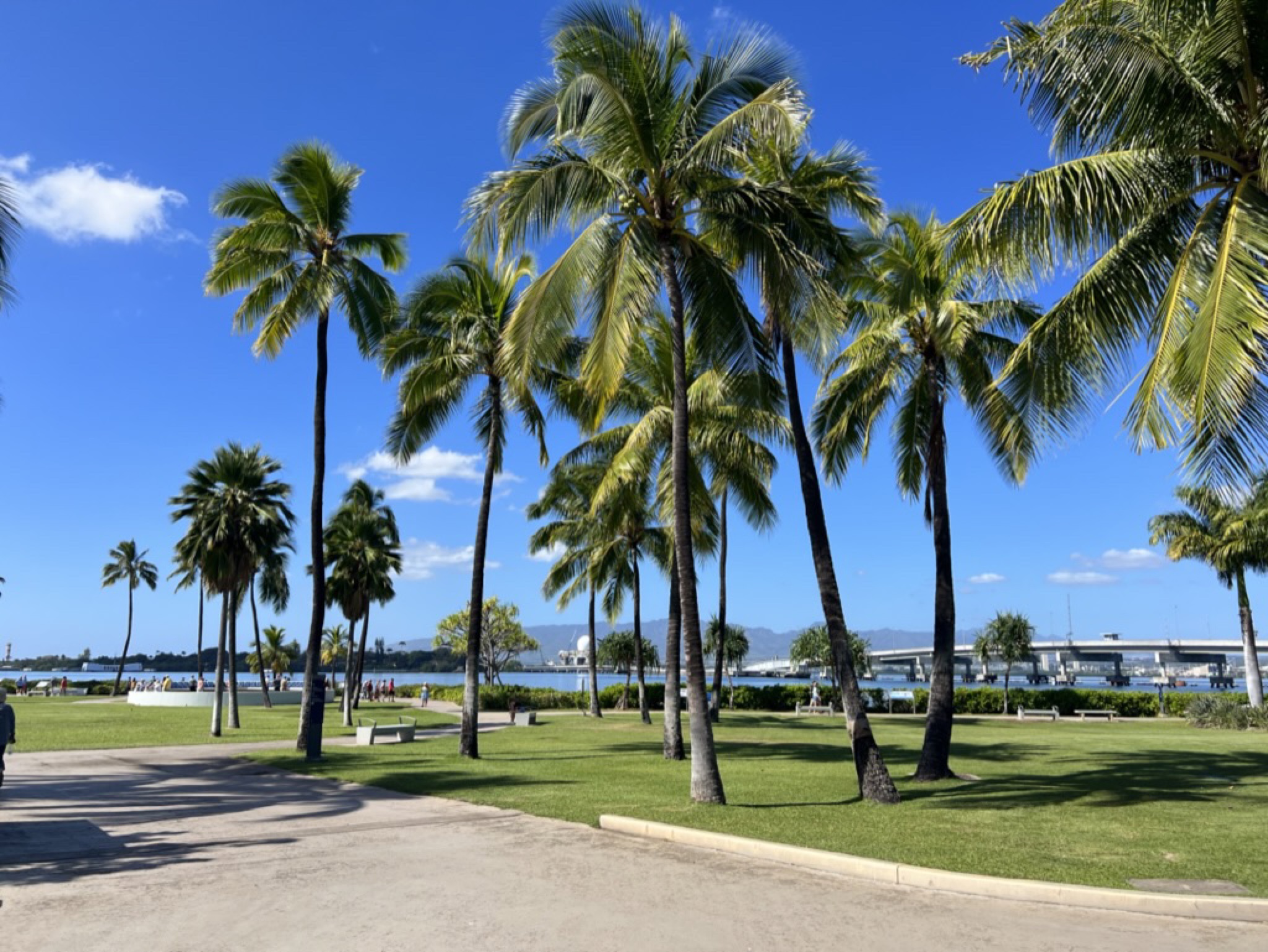 View across the harbor framed by tall palm trees, the white Arizona Memorial visible in the distance