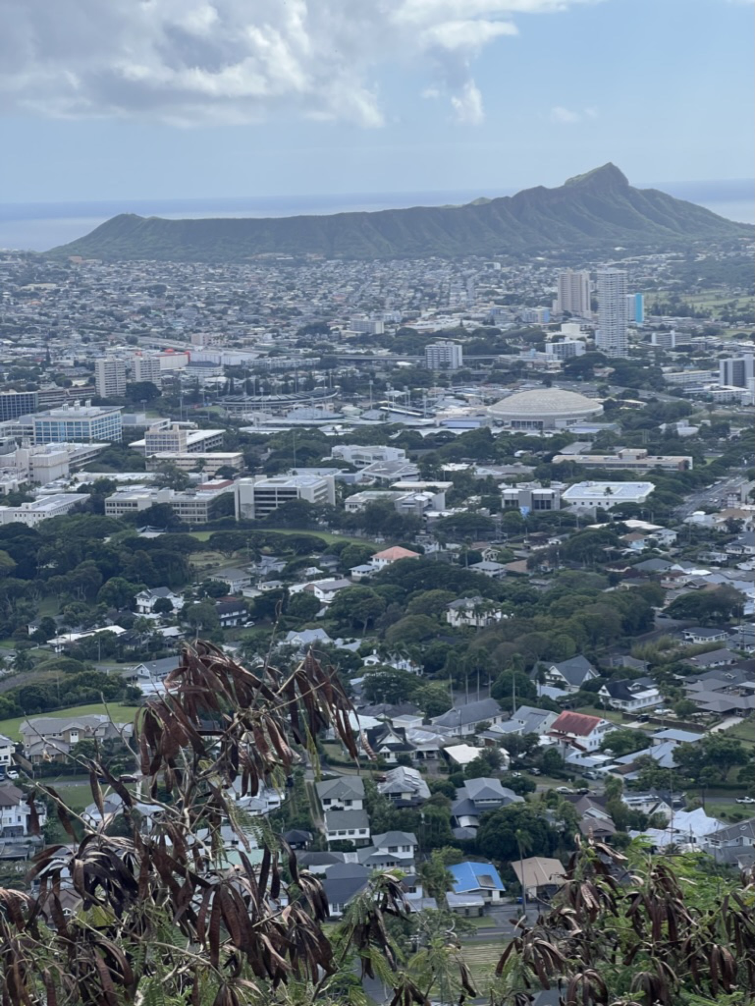 Honolulu spread out below — the city, the airport, the [Neal S. Blaisdell Center](https://en.wikipedia.org/wiki/Neal_S._Blaisdell_Center), and Diamond Head's crater rising at the far end of the coastline