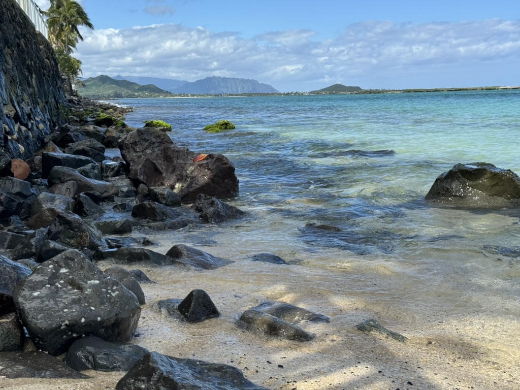 The same rocky stretch with sun glinting off shallow tide pools, palms framing the foreground left