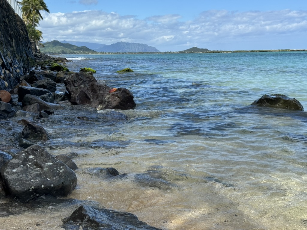 Volcanic rocks scattered along the Kailua-side shore with crystal-clear water lapping in, the Koʻolau range pale in the distance