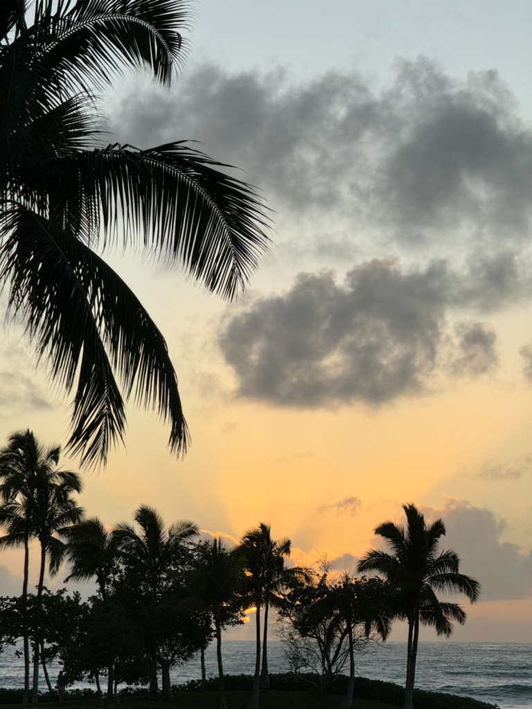 A deep-orange sunset framed by an arching palm frond over the Ko Olina lagoon