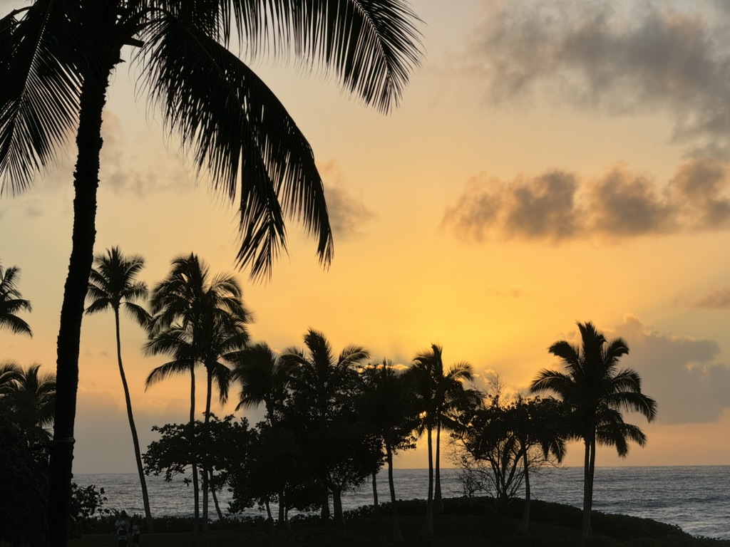 Tall palm silhouettes against a peach-and-gold sunset sky, low scattered cumulus picking up the light
