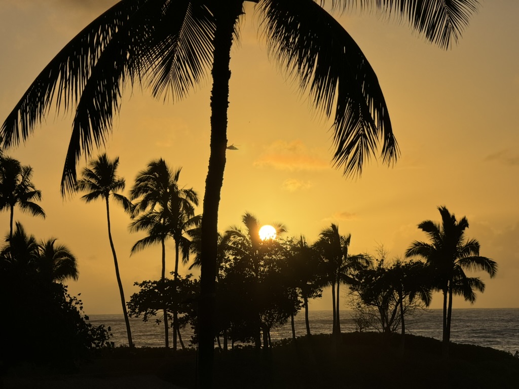 A single arching palm frond in silhouette over a soft pastel sunset, more palms across the lagoon below