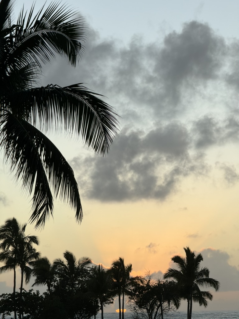 Twilight over the lagoon — palms in silhouette under a salmon-pink sky, a small figure with a stroller silhouetted on the lawn at right