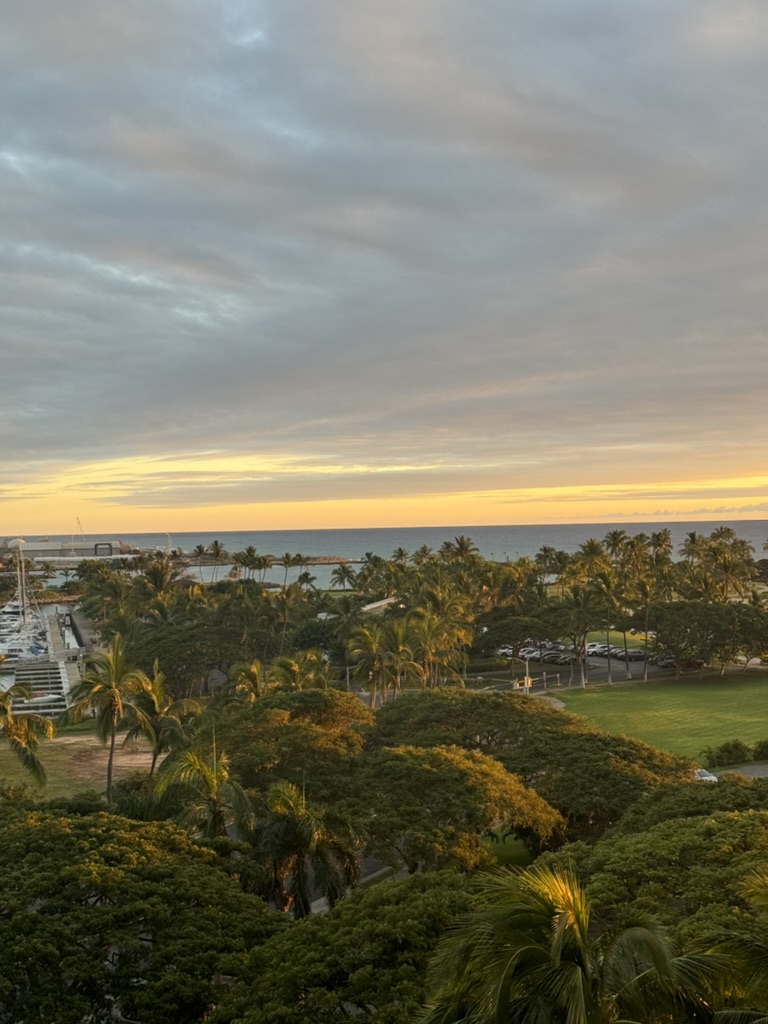 Sunset across the resort grounds toward the marina — a band of gold along the Pacific horizon, palms in mid-frame, the resort lawns going to shadow below