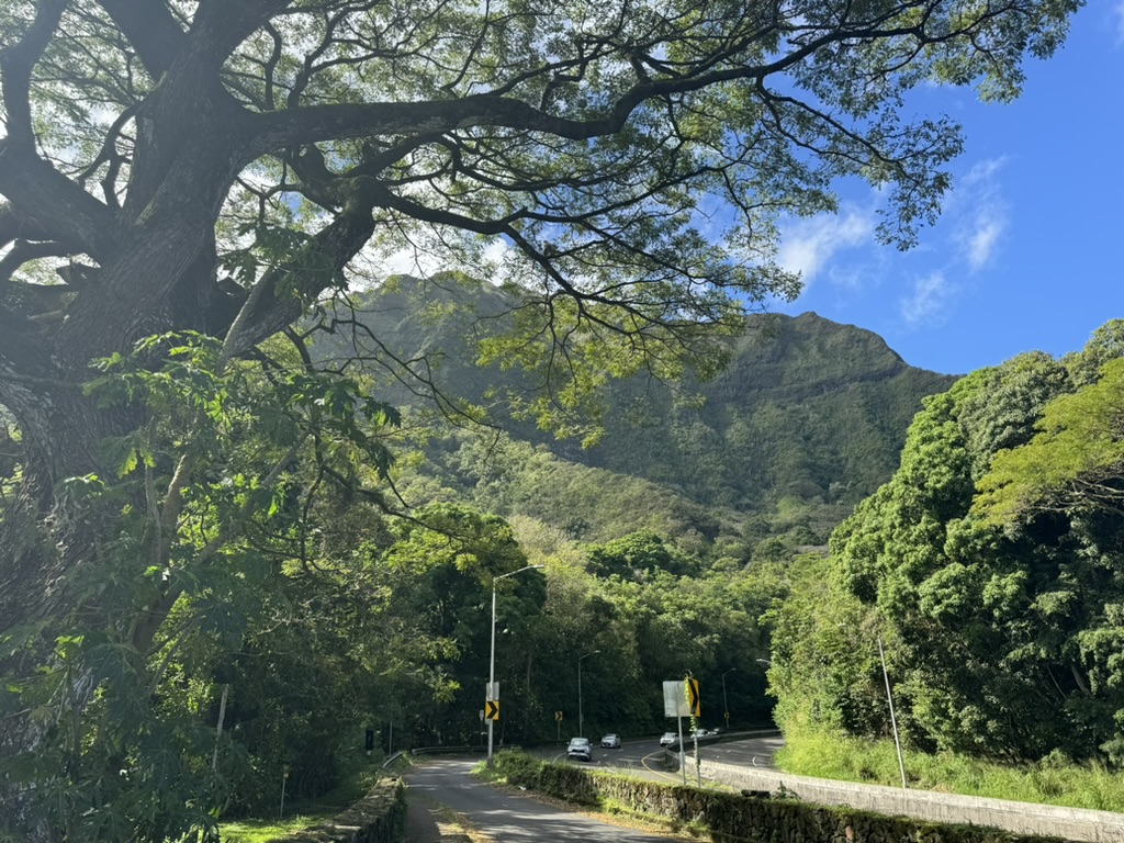 Panoramic view from the Nuʻuanu Pali Lookout — green ridges of the Koʻolau range sweeping into the windward valley