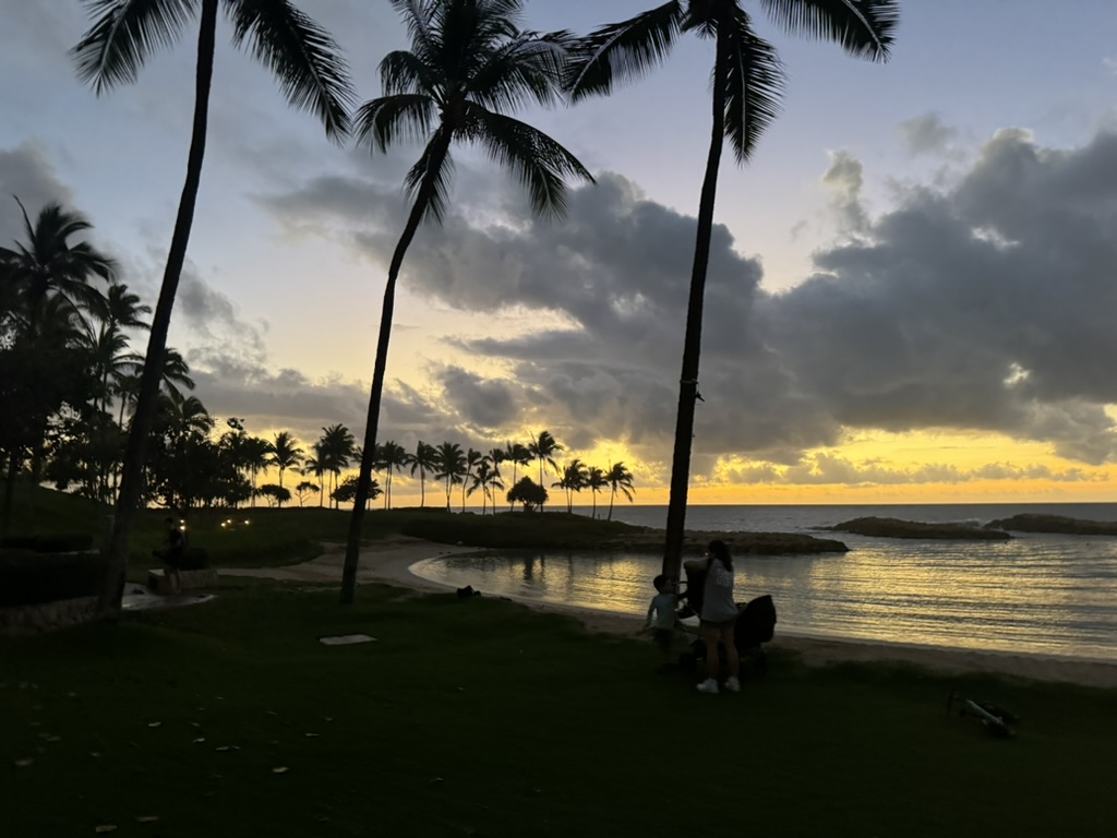 A single palm frond arching across a deep-orange sunset sky, the sun visible just above the Pacific horizon between palm silhouettes
