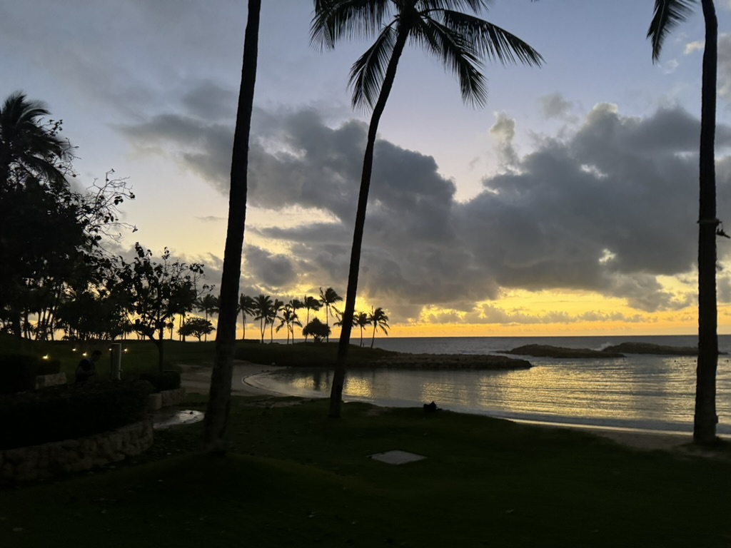 A wider sunset view — palm silhouettes against a fiery orange sky, the ocean fading to mauve below