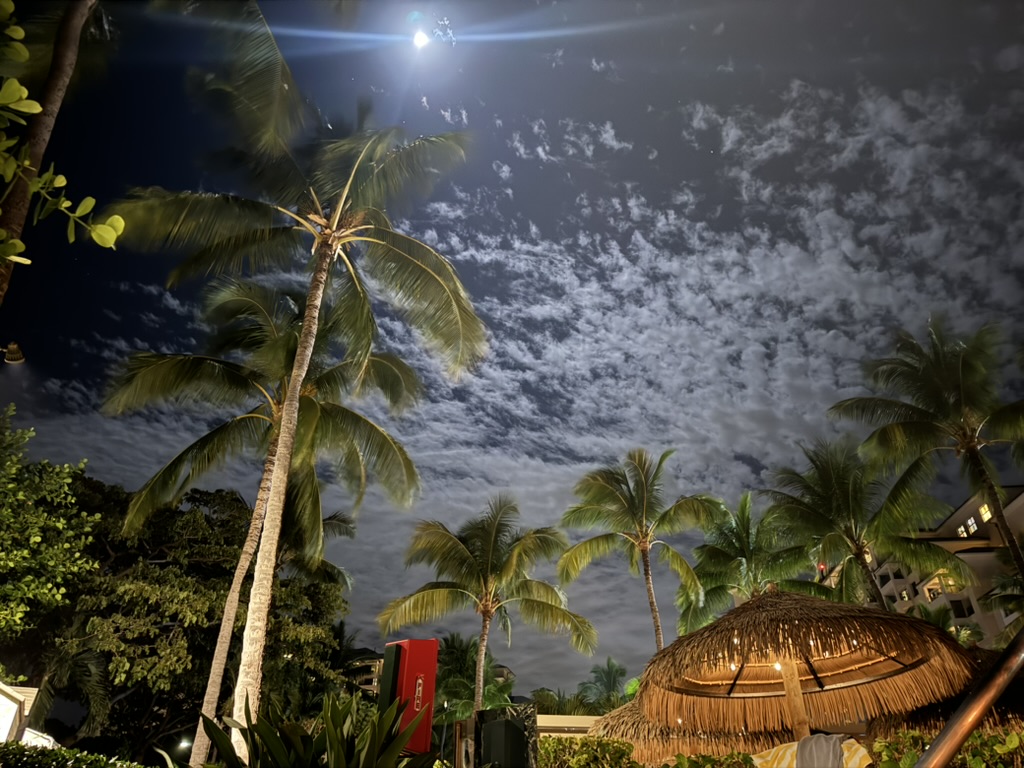 Looking up through tall coconut palms at a bright moon flaring through the fronds, scattered cirrus across the sky, a thatched cabana umbrella in the lower-right corner