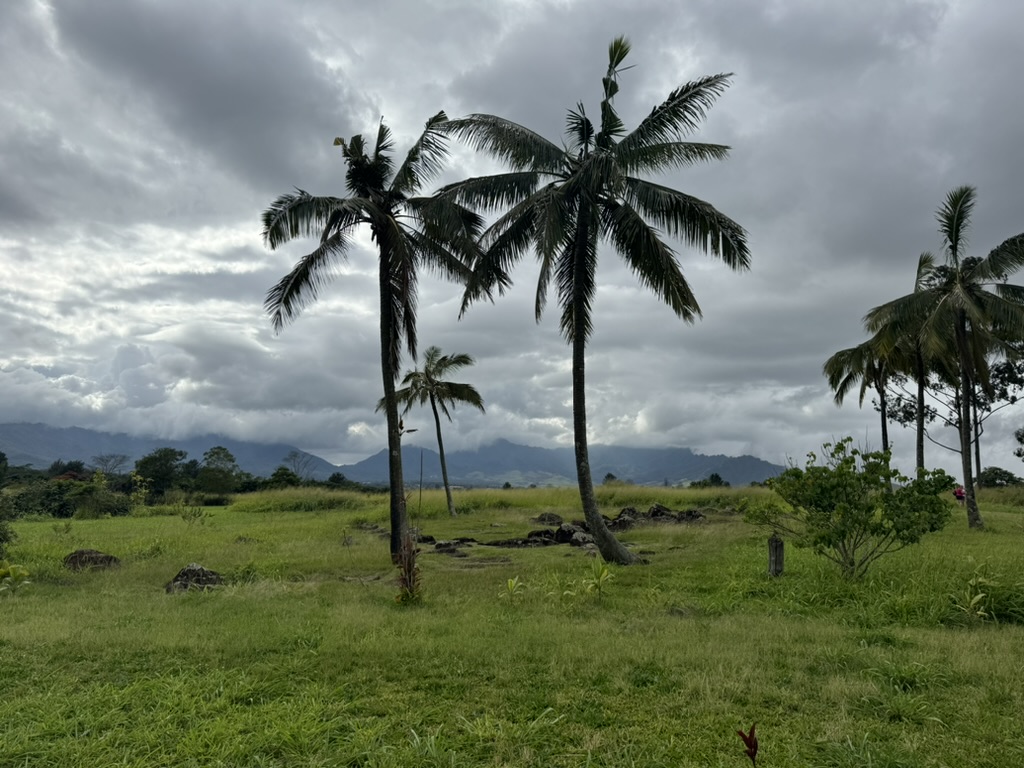 A single palm frond in the foreground with the Koʻolau range across the back of the frame, vertical rain bands visible against the ridge line