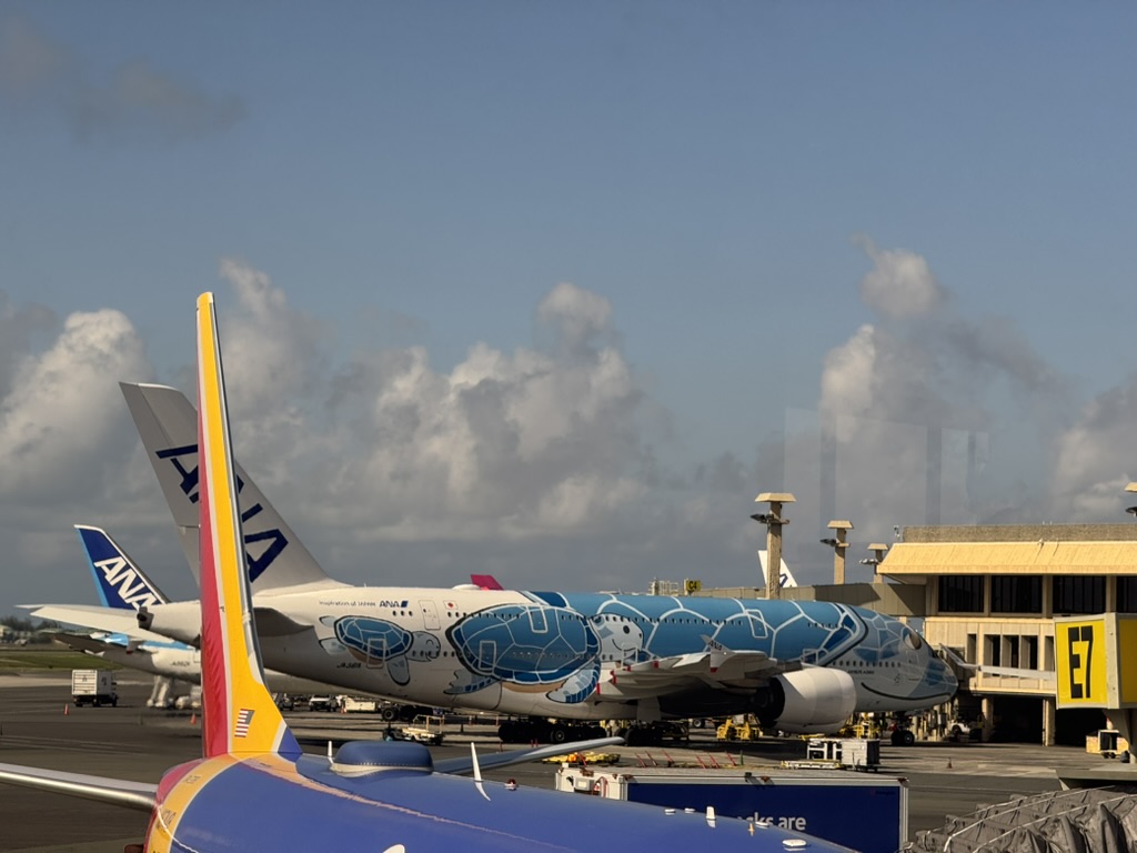 ANA Flying Honu "Lani" — the blue Airbus A380 painted as a Hawaiian green sea turtle