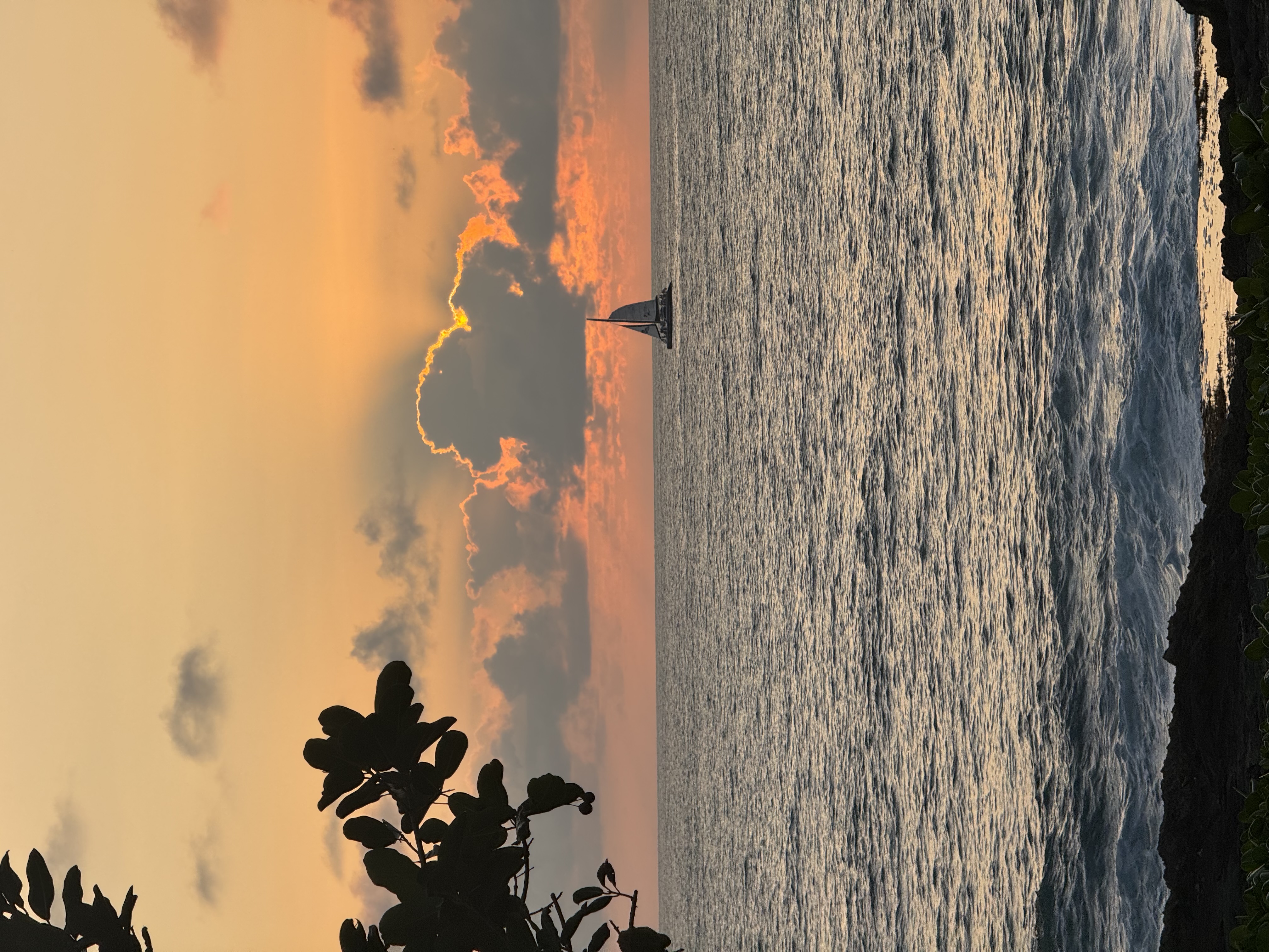A distant sailboat on the water, sunset orange behind it, foliage framing the foreground