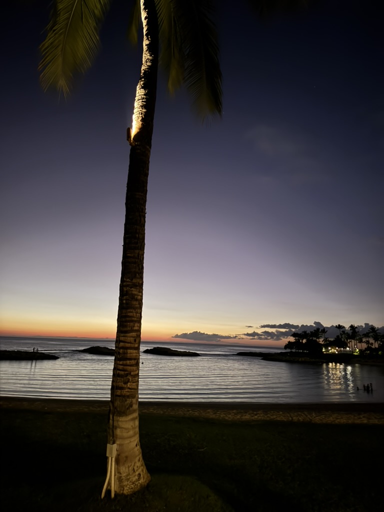 A single palm tree silhouetted over a lagoon at twilight