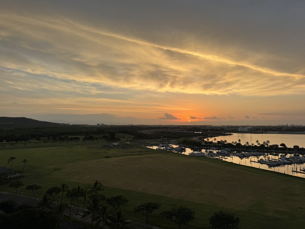Sunset over the same marina, palms picking up the last light