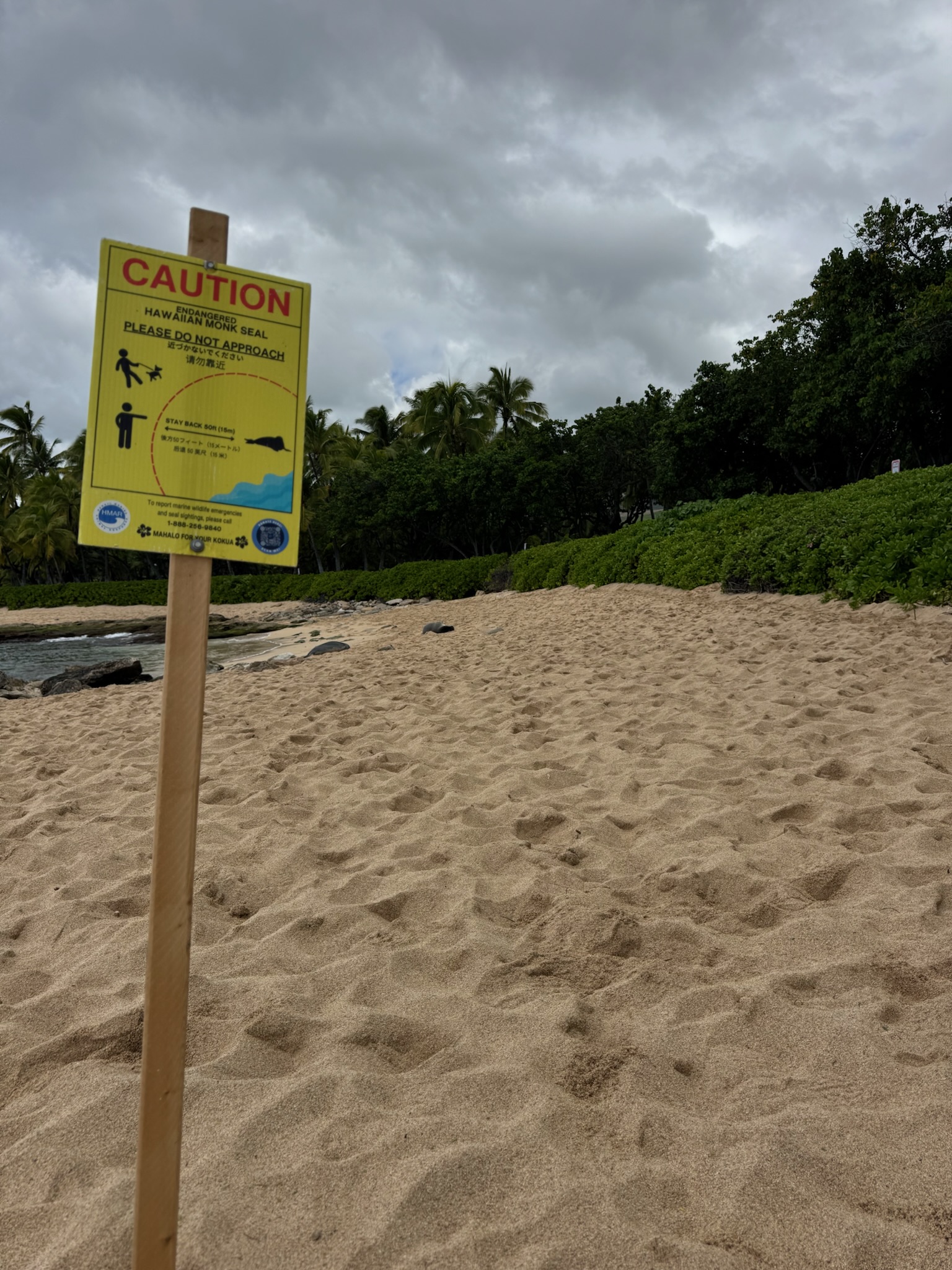 A "Caution: Hawaiian Monk Seal — Please Do Not Approach" sign staked into the sand on a quiet beach