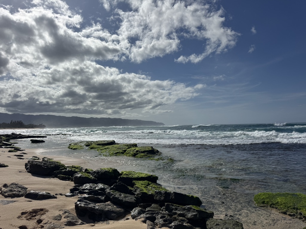 Mossy black reef in the foreground, surf breaking past it