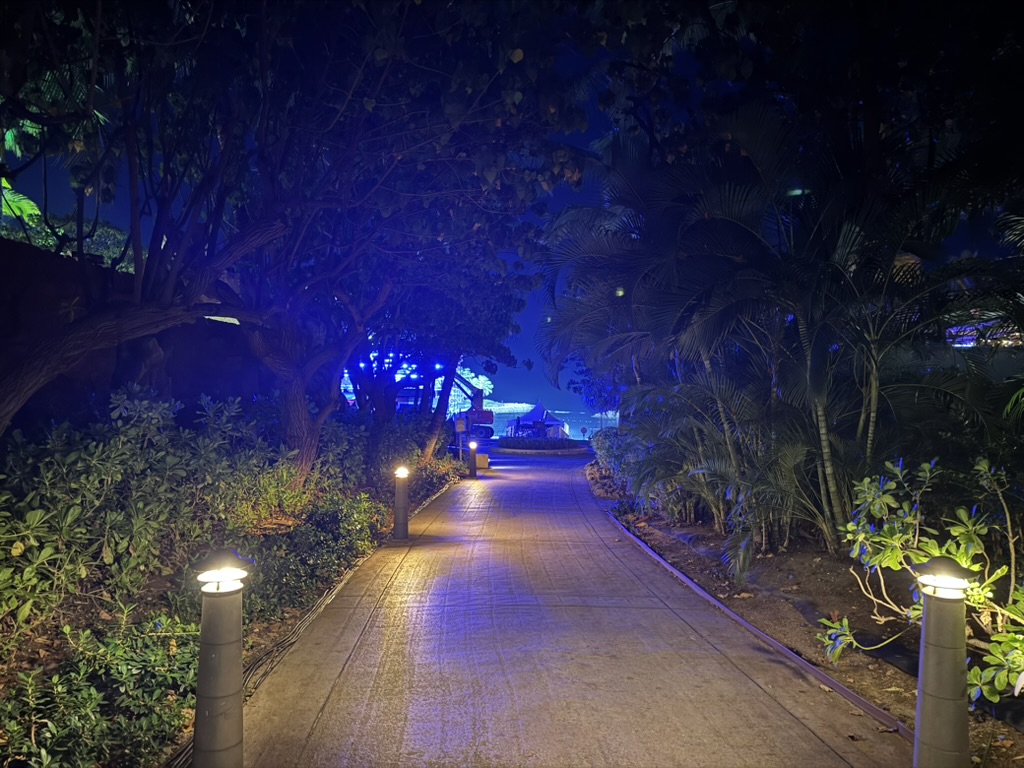 A lit pathway through the resort grounds at night, blue accent lighting on palms