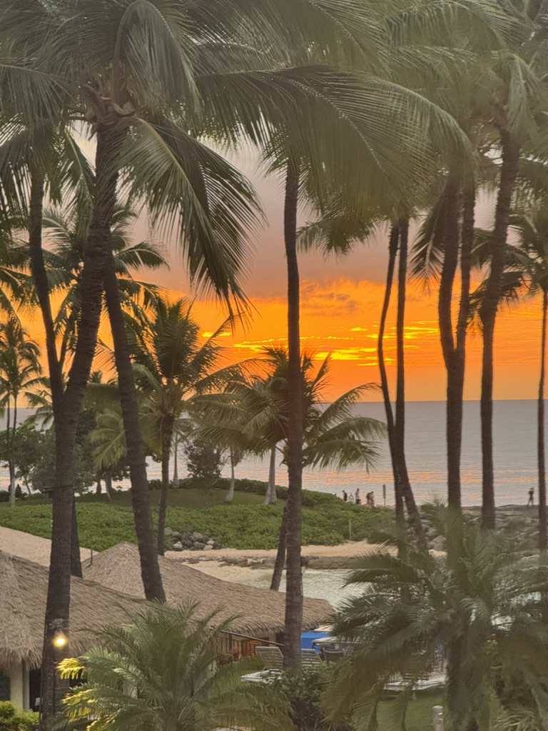 Resort lagoon framed by palm fronds at sunset