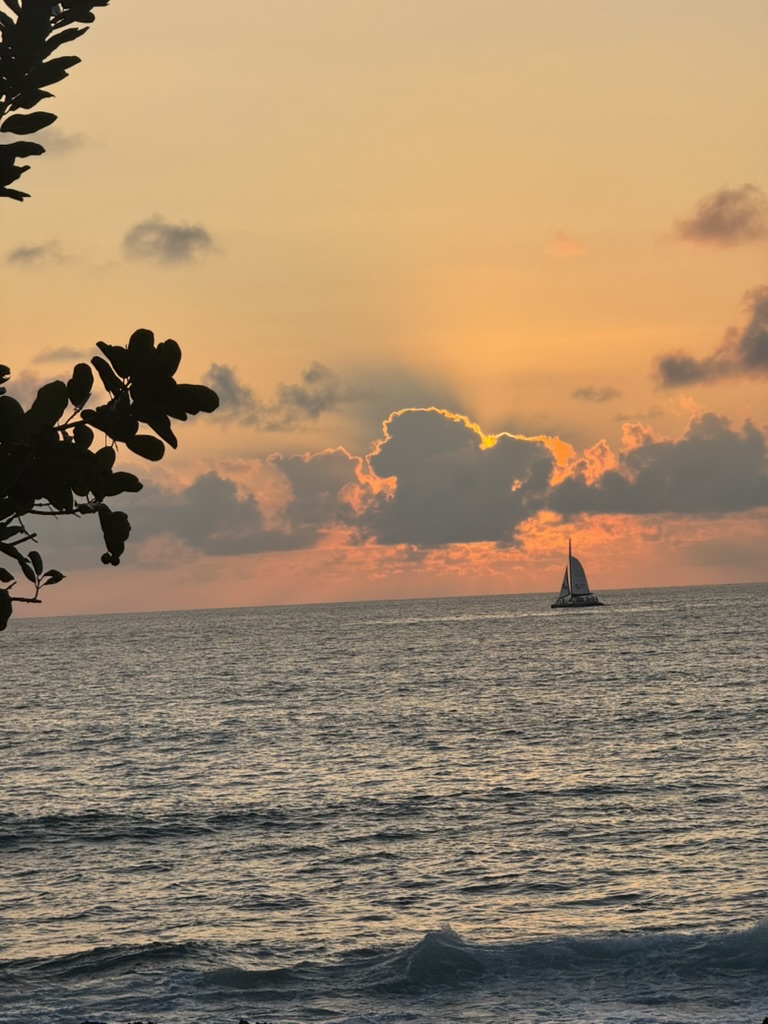 A catamaran silhouetted against a peach sky at sunset
