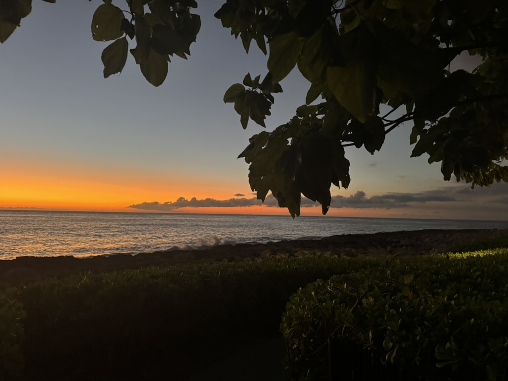 Ocean sunset framed by darkened tropical foliage