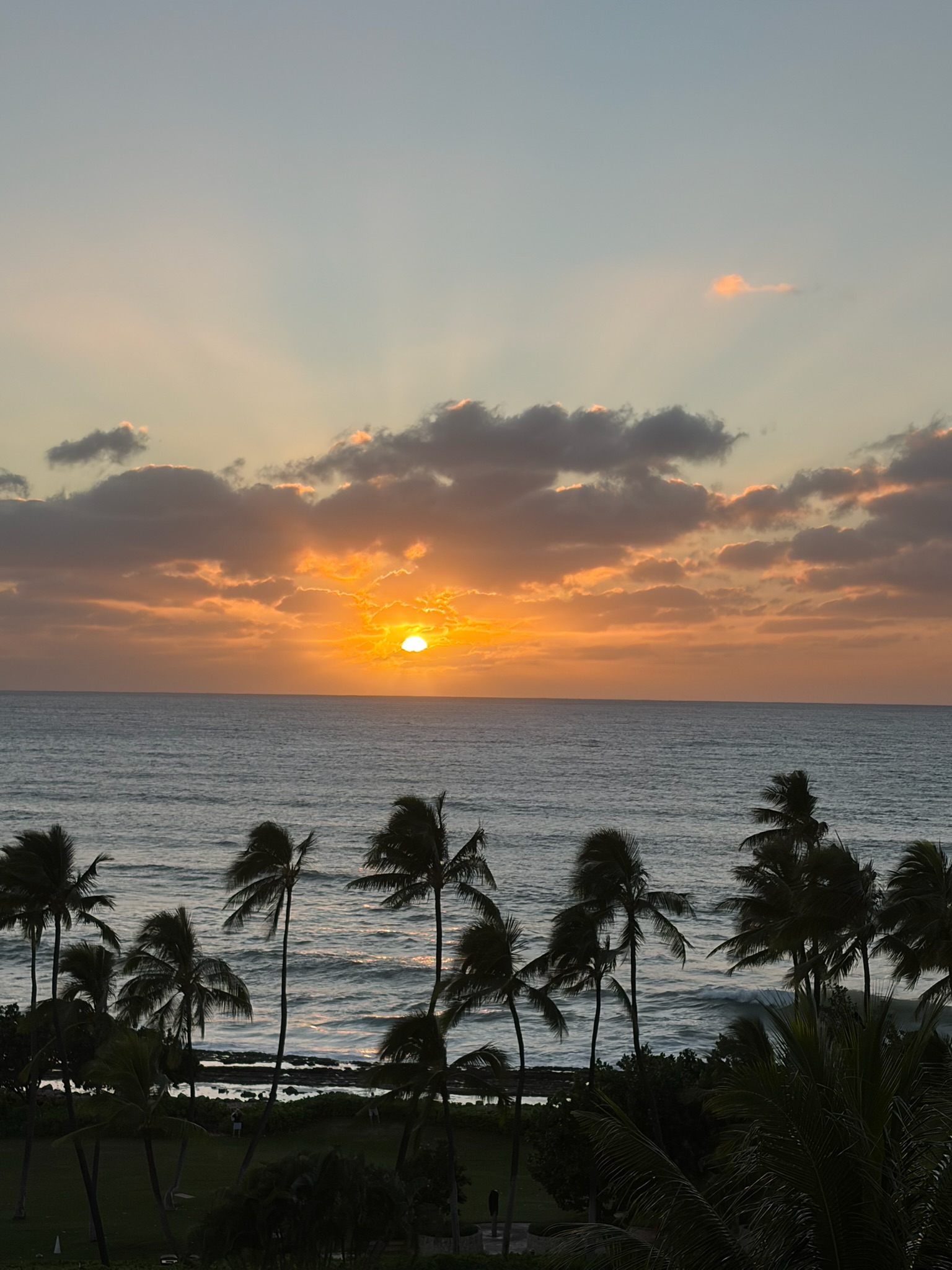 Sunset over the ocean from the room balcony, palms in the foreground catching the last light