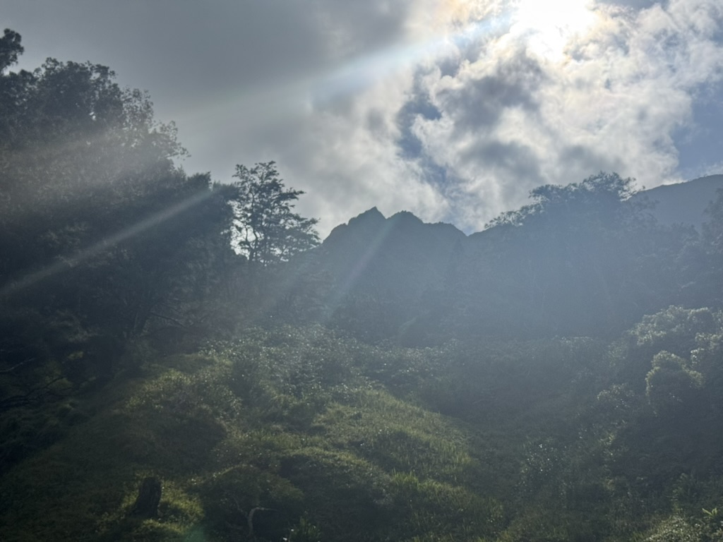 Mist clearing off a green hillside, sun rays through the cloud