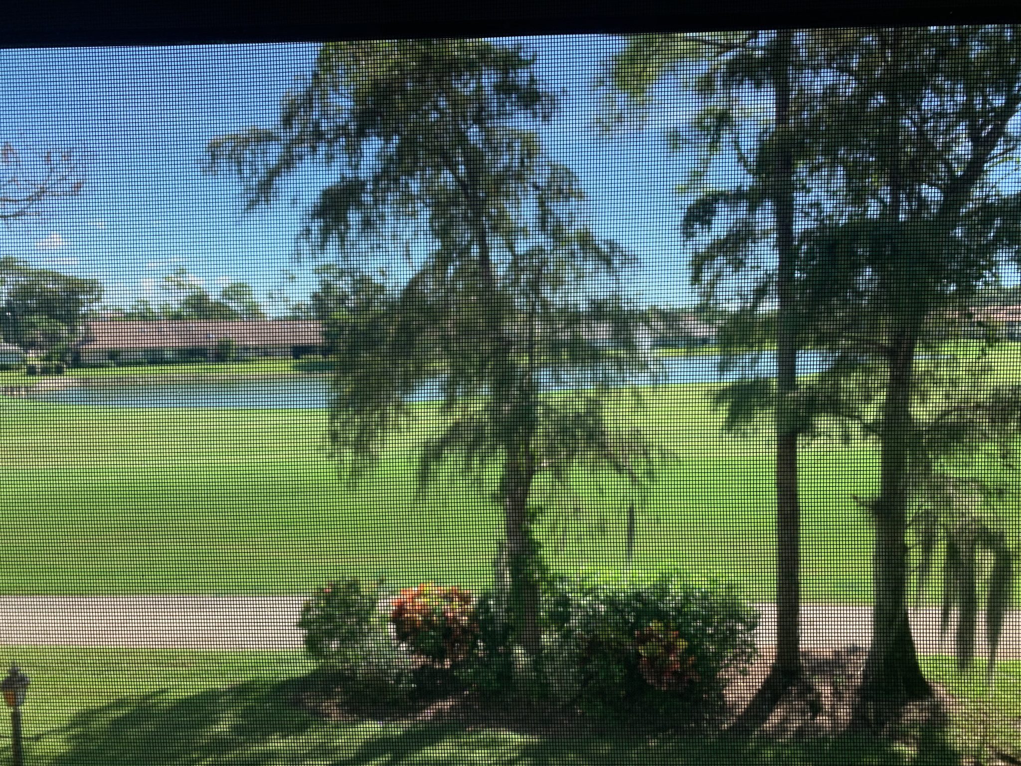 View through a screened lanai over a pond and fairway, cypress trees and flowering shrubs in the foreground