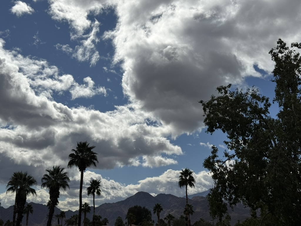 Dramatic horizontal cloud bank over the Santa Rosa Mountains, palm silhouettes in the foreground