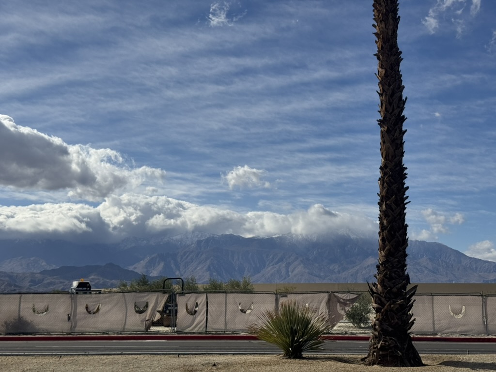 Tall palm tree by a road with the snowy San Jacinto range stretching across the background