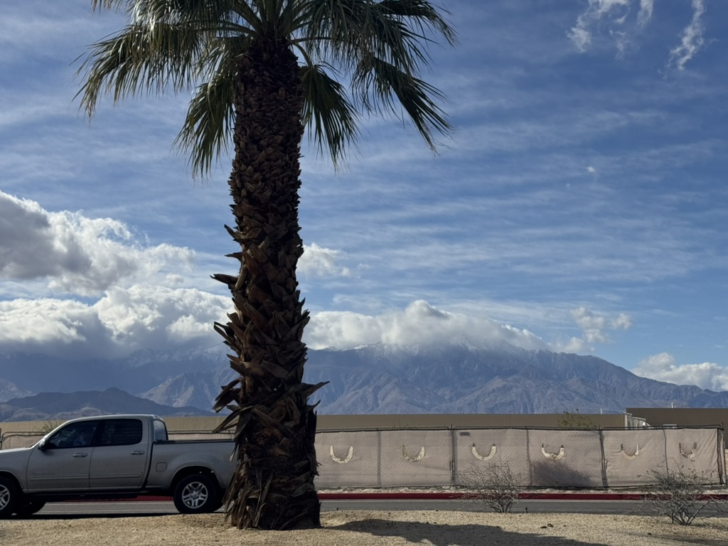 Palm tree, a parked pickup, and the snowy mountains beyond