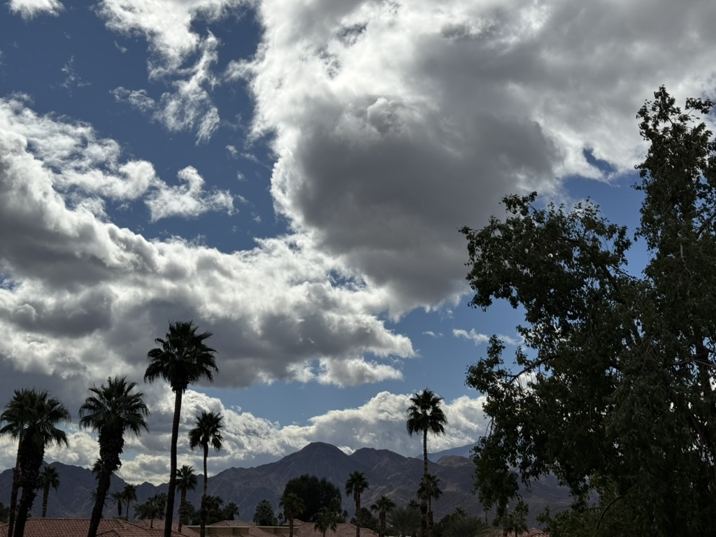 Tall cumulus stacking up over the desert mountains, palms silhouetted against the bright sky