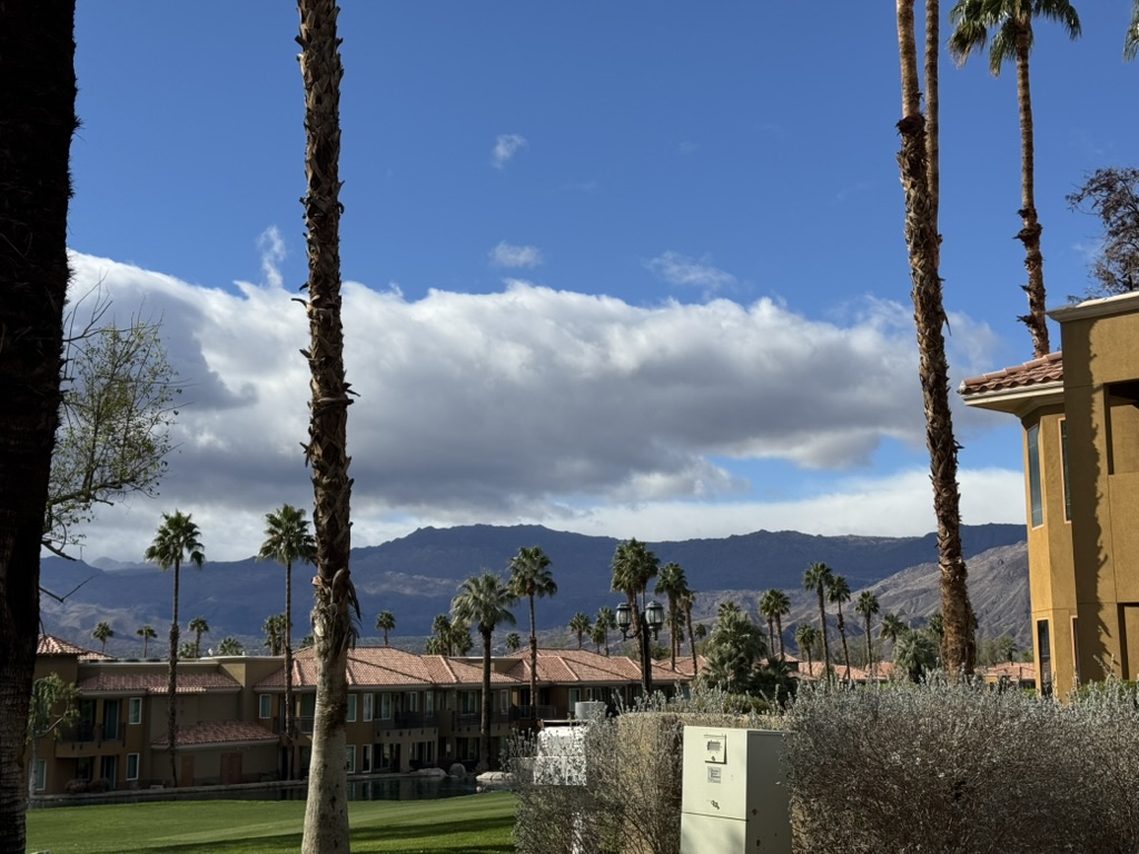 Courtyard between villas with palms and a clear view to the mountains