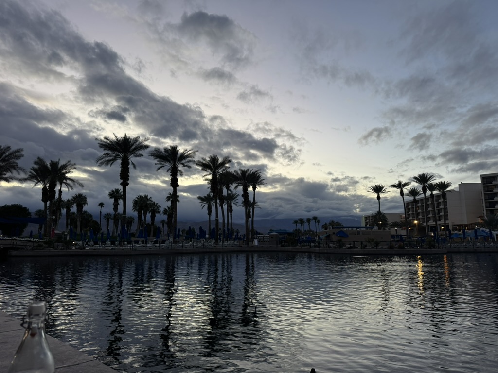 Pre-dawn lagoon — palms reflected, the sky just starting to take colour