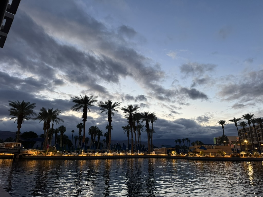 Lagoon at twilight — palms in silhouette, water mirror-still