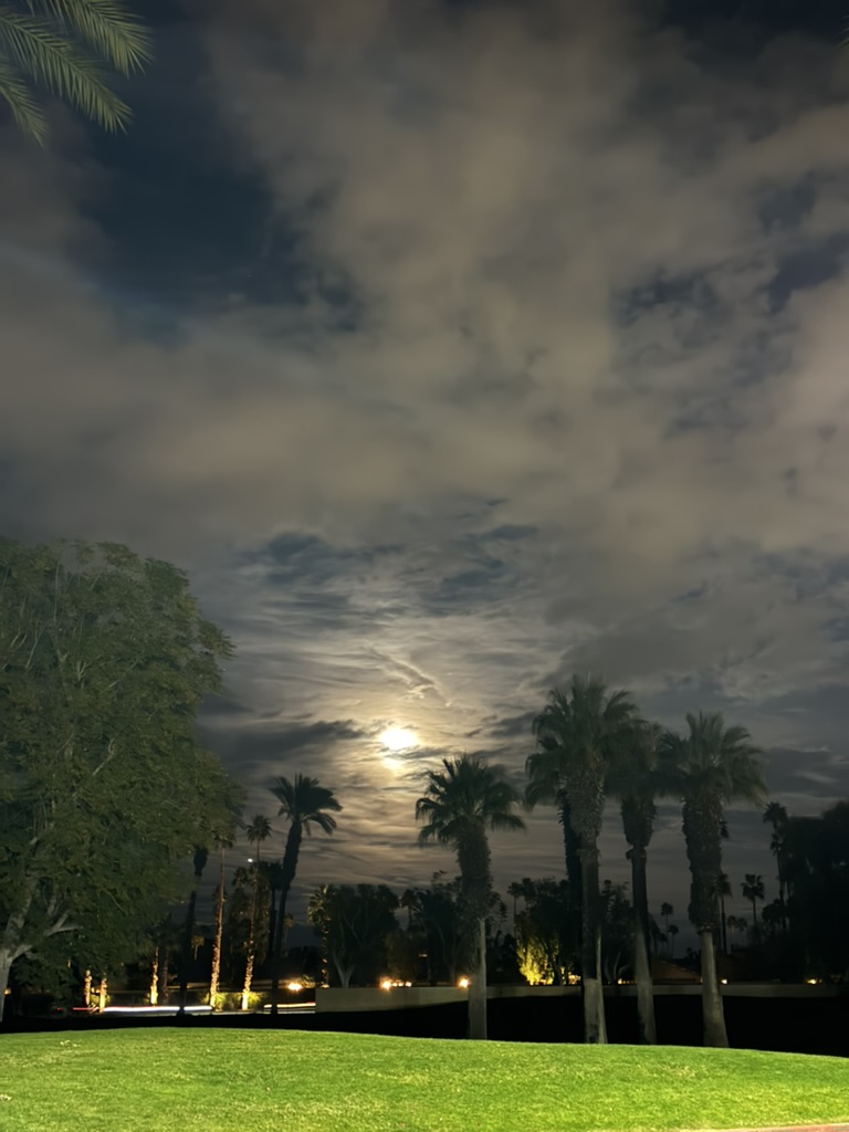 Moonlight breaking through clouds over the palm canopy