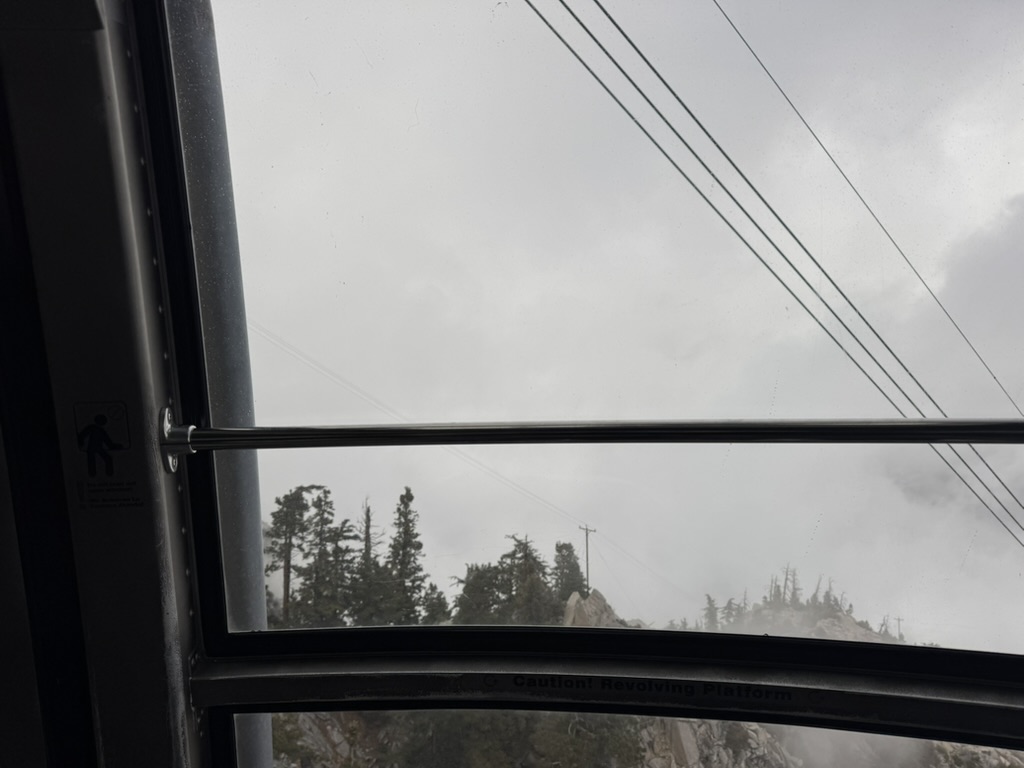 View through the cabin window — pine trees blurring past, support cables overhead