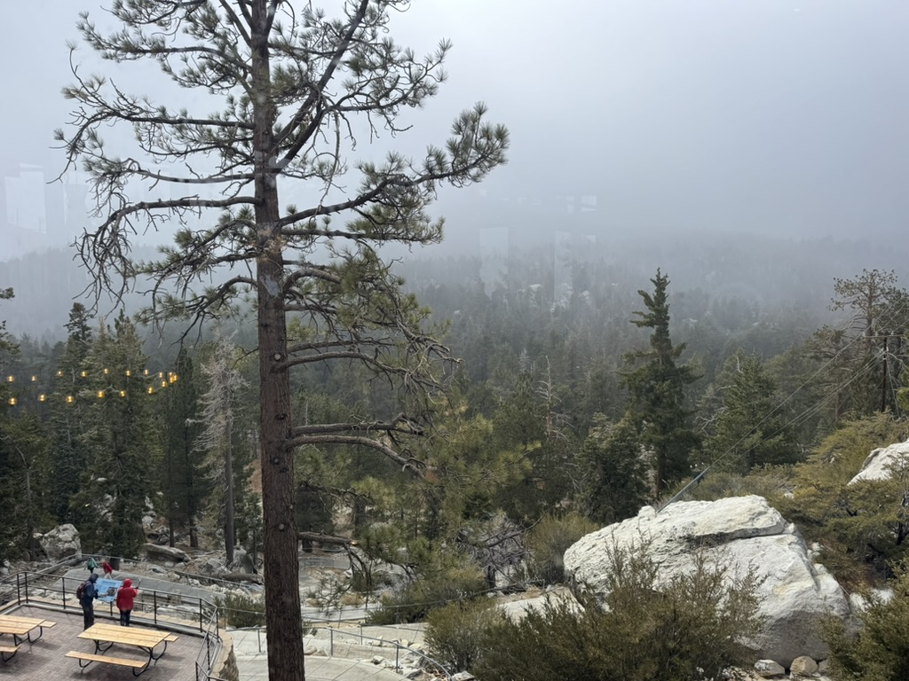 Arriving at Mountain Station — fog rolling through the pines